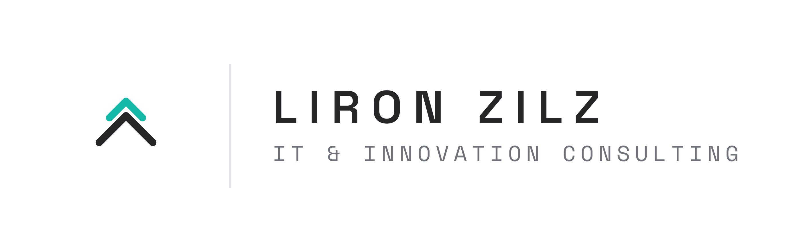 Liron Zilz IT & Innovation Consulting