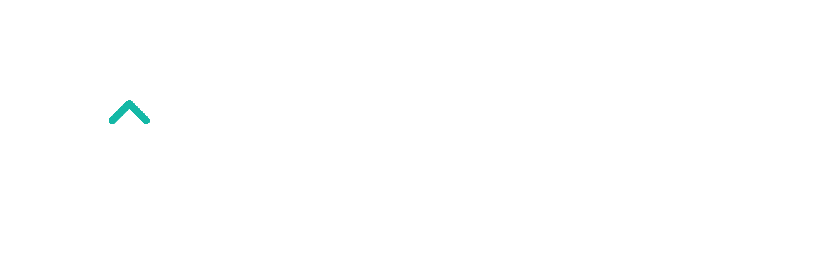 Liron Zilz IT & Innovation Consulting